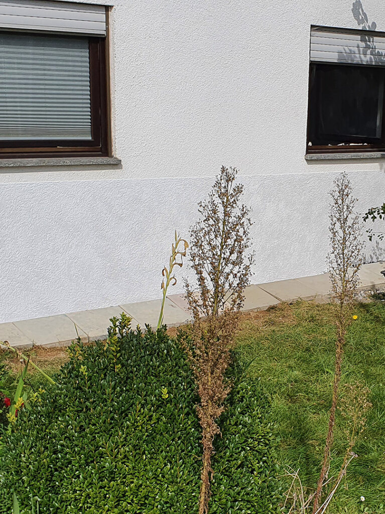 Referenzen 24 kewabo deutschland gmbh wuppertal referenzen